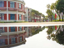 ����鿴��ͼ