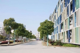 ����鿴��ͼ