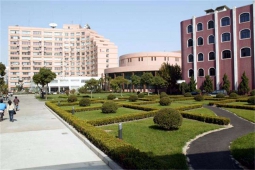 ����鿴��ͼ