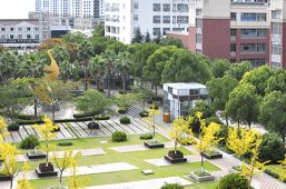 ����鿴��ͼ