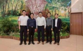 ����鿴��ͼ