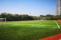 ����鿴��ͼ