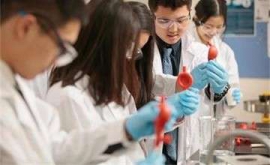 ����鿴��ͼ