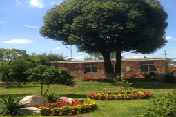 ����鿴��ͼ