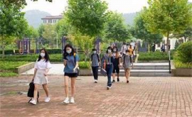 ����鿴��ͼ