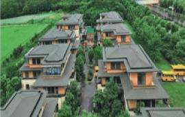 ����鿴��ͼ