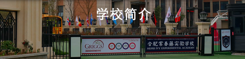 �Ϸʳ�����ʵ��ѧУ�γ���ϵ����ѧ��������Щ?