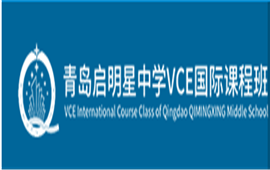 �ൺ��������ѧVCE���ʿγ̰�