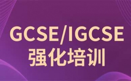 ��ݸ�¶���IGCSE��ѵ��