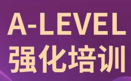 ��ݸ�¶���A-Level��ѵ��